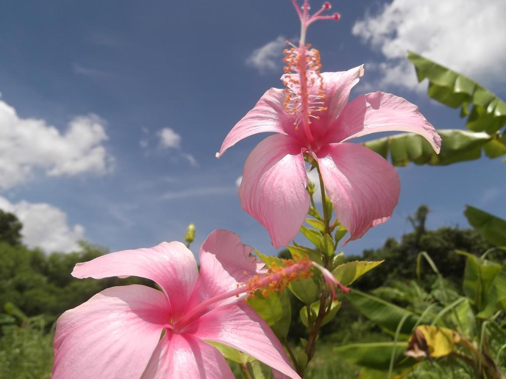 Yoisama Sunrise Beach House Ishigaki  Zewnętrze zdjęcie