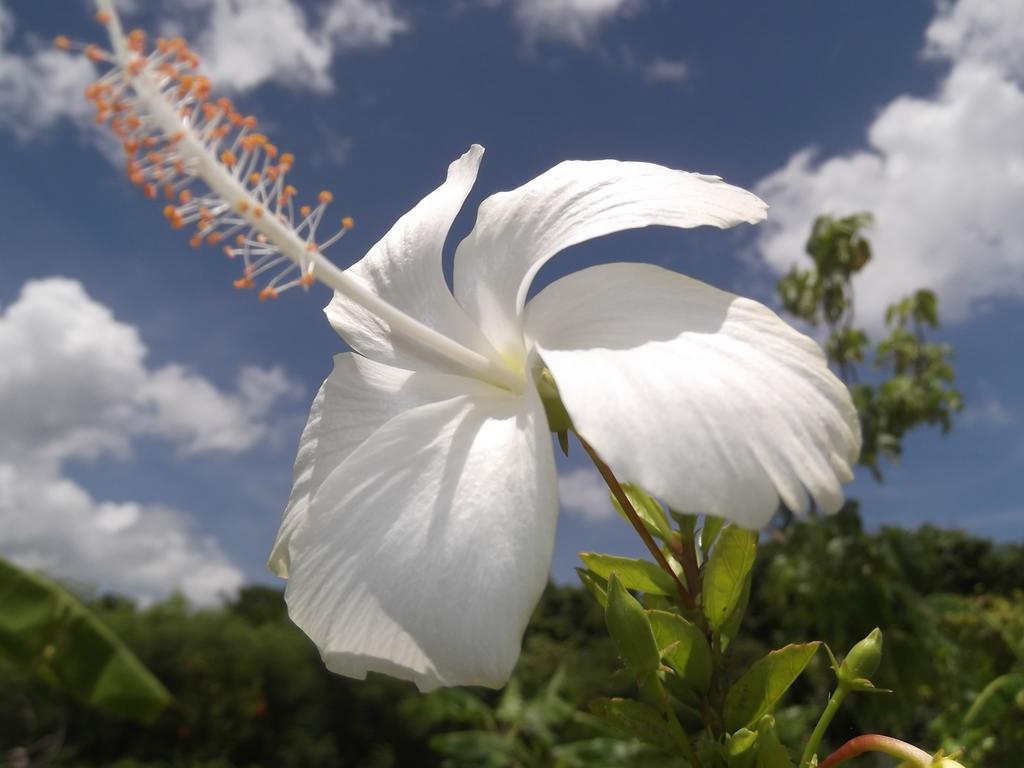 Yoisama Sunrise Beach House Ishigaki  Zewnętrze zdjęcie