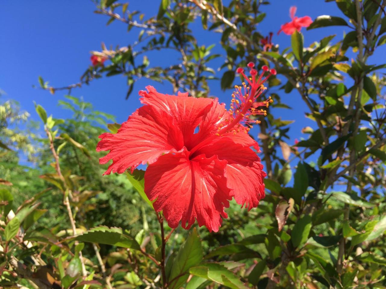 Yoisama Sunrise Beach House Ishigaki  Zewnętrze zdjęcie